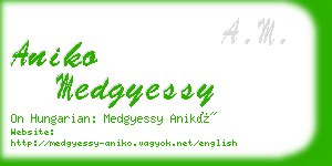 aniko medgyessy business card